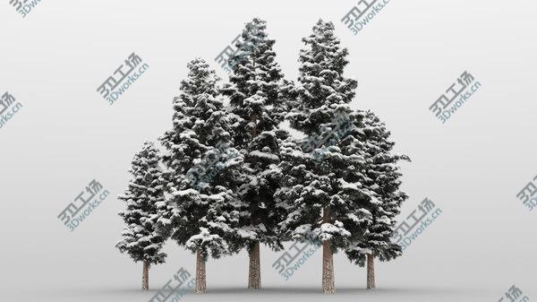 images/goods_img/20210312/40plus40 Conifer Trees 3D model/5.jpg